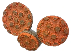 Octopus Compact